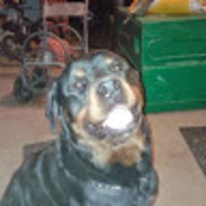 Meet your Posher, Vera